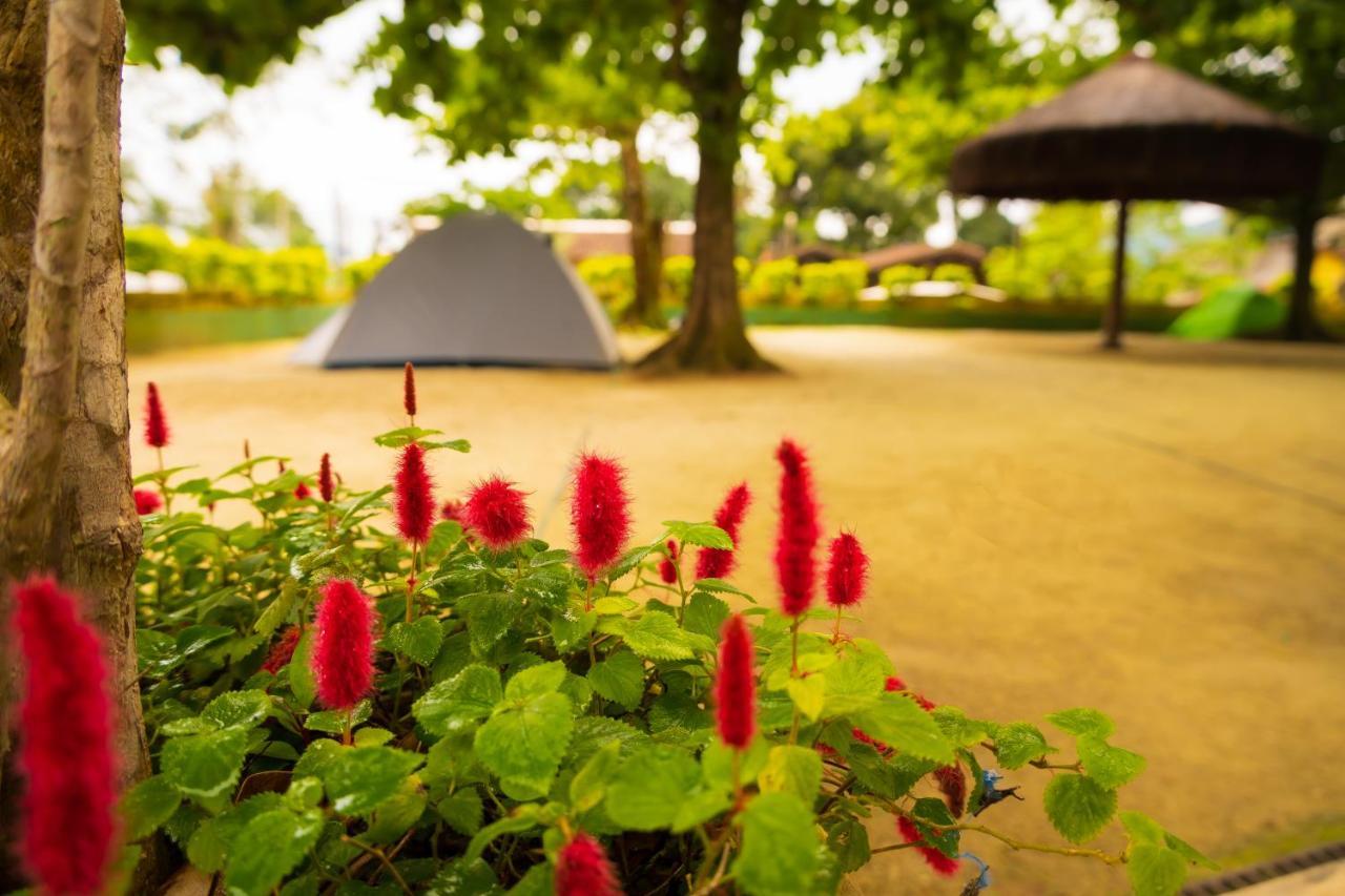 Raio De Sol Pousada & Camping Abraão Zewnętrze zdjęcie